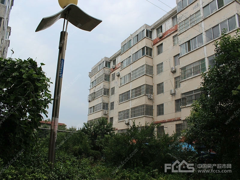 「金州花园」房源信息,小区价格,小区概况 滕州房产超市